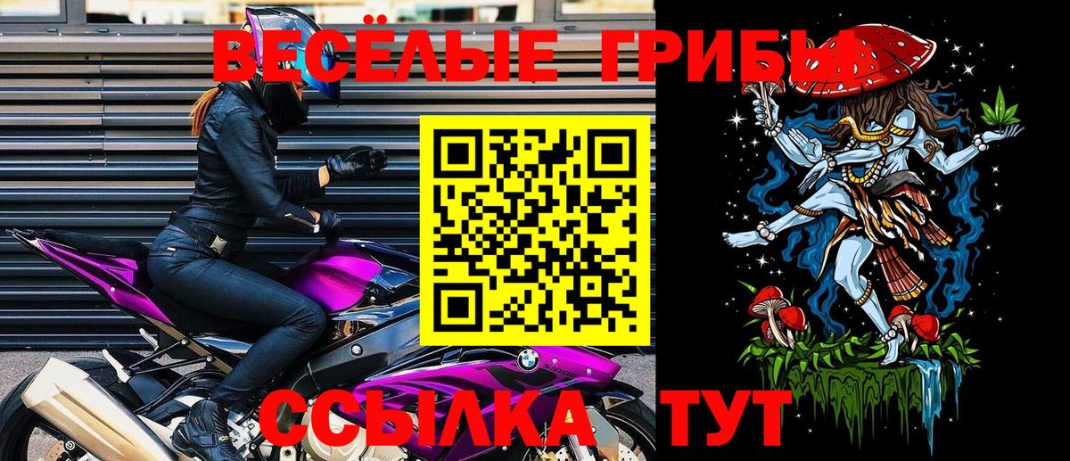 Галлюциногенные грибы GOLDEN TEACHER Долгопрудный