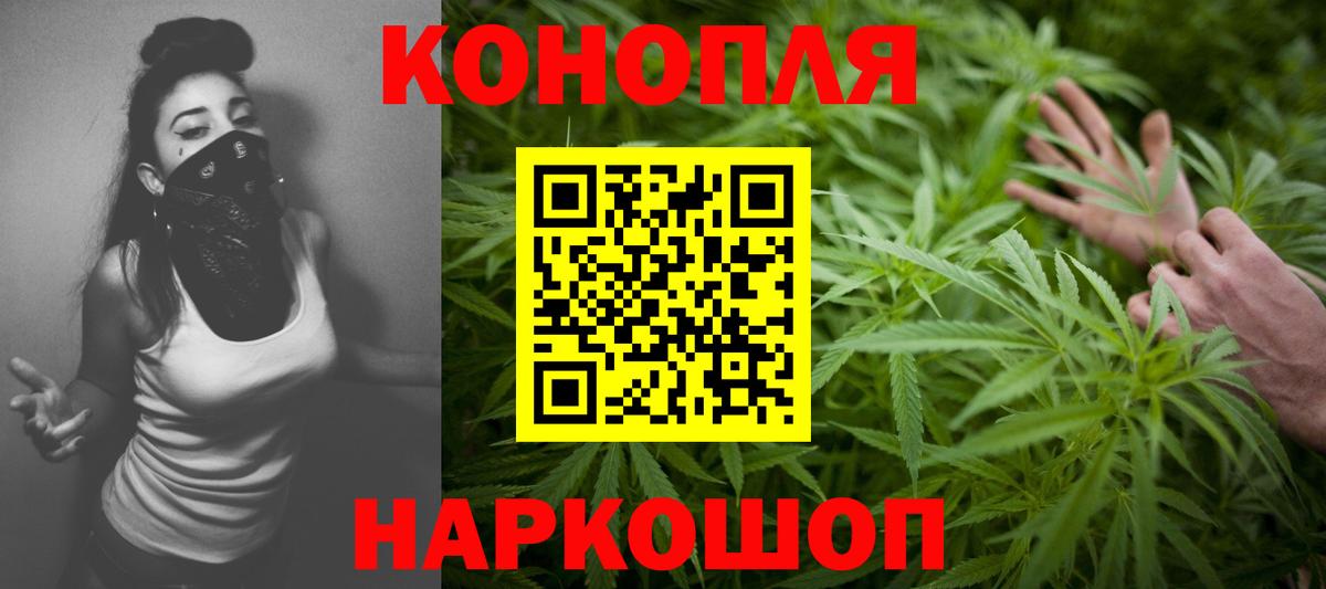 Конопля ГИДРОПОН Долгопрудный